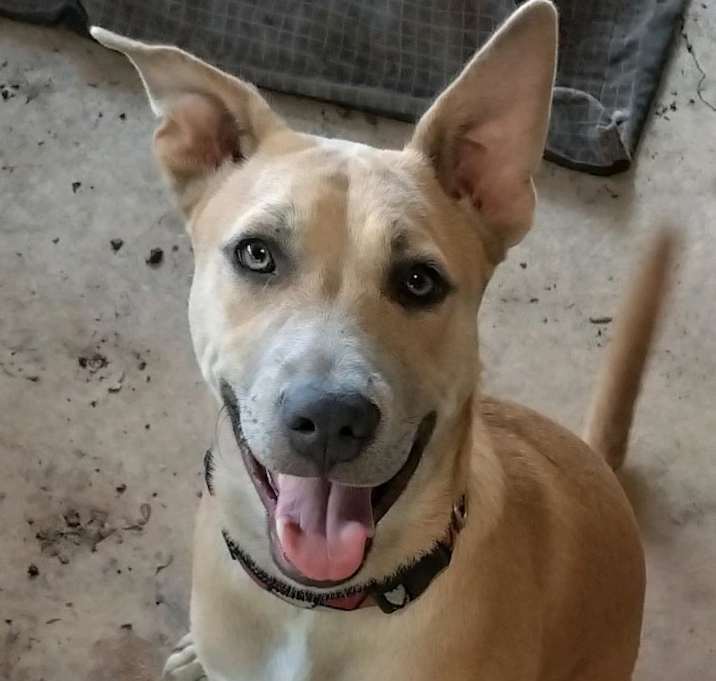 Photo of Cutie Pie