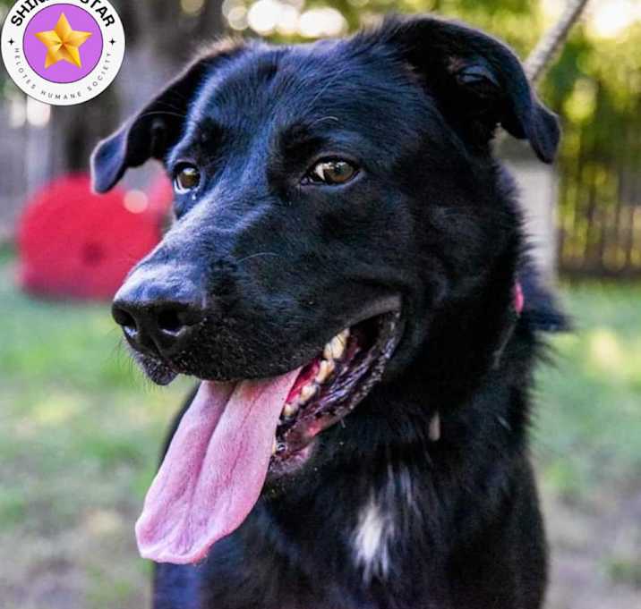 Photo of Duke