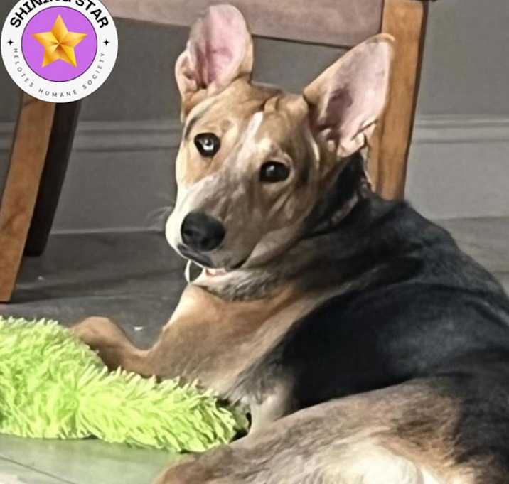 Photo of Ellie