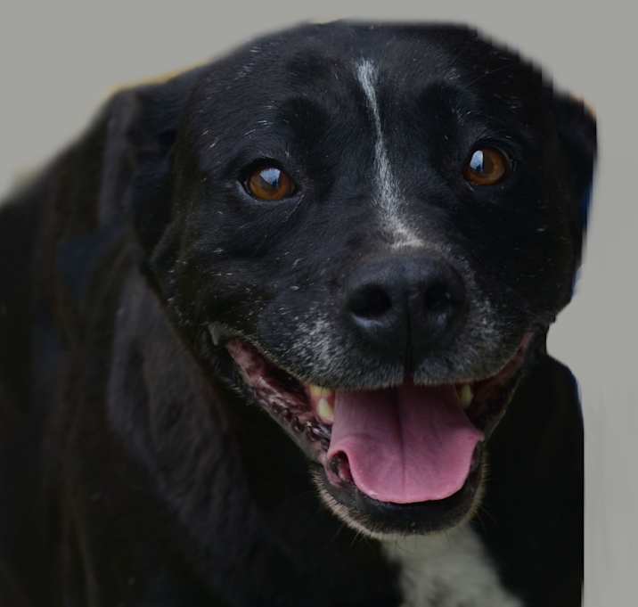 Photo of Harper