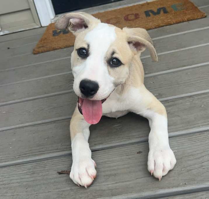 Photo of Daisy