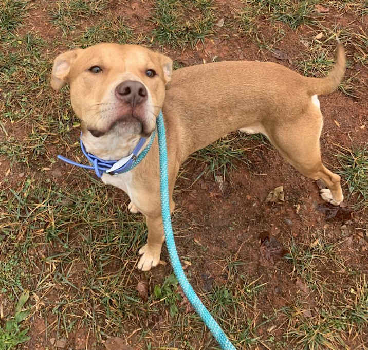 Photo of Dopey