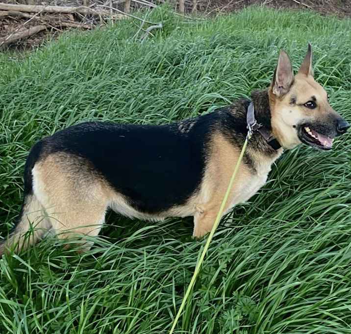 Photo of Maybel