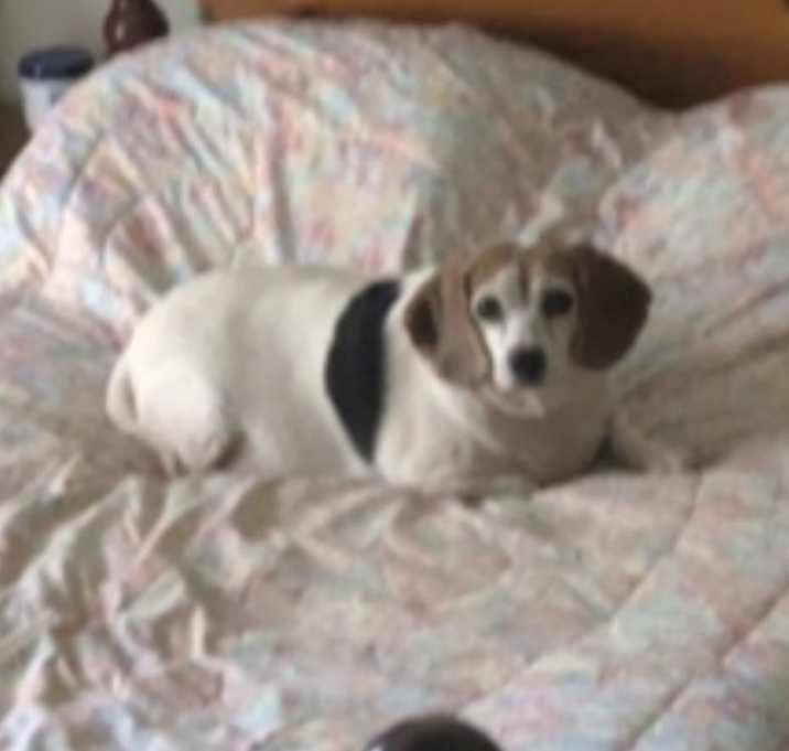 Photo of Jamie -MISSING