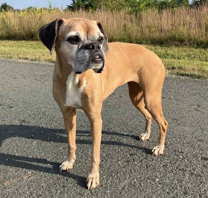 Photo of Darla