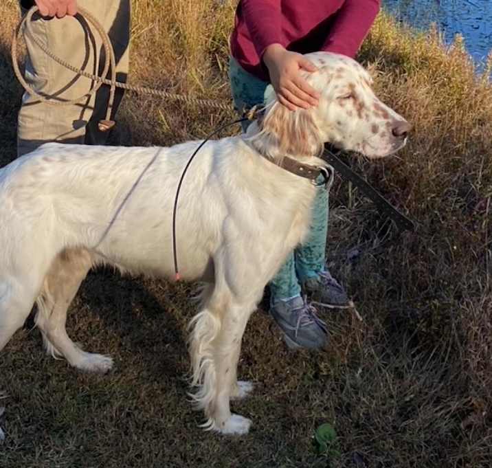 Photo of Mack Torrence - MISSING