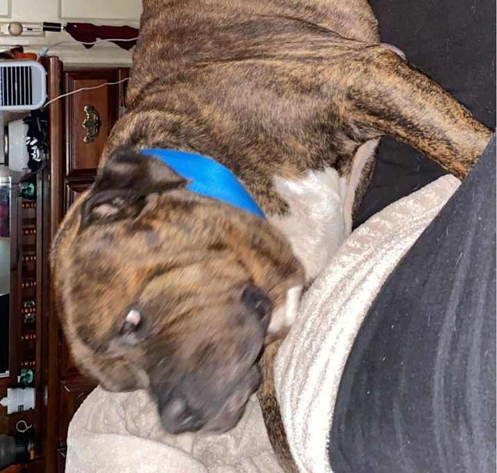 Photo of Floyd