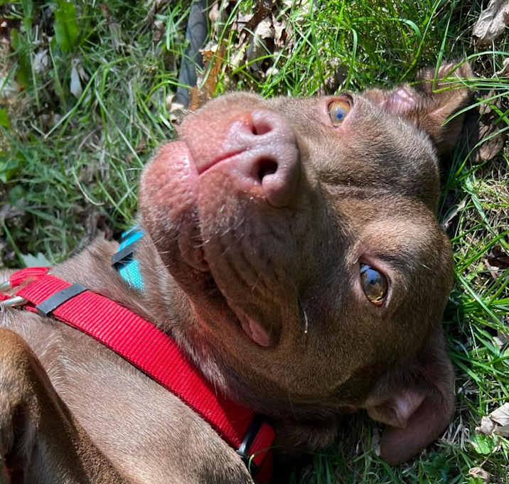 Photo of Truffles