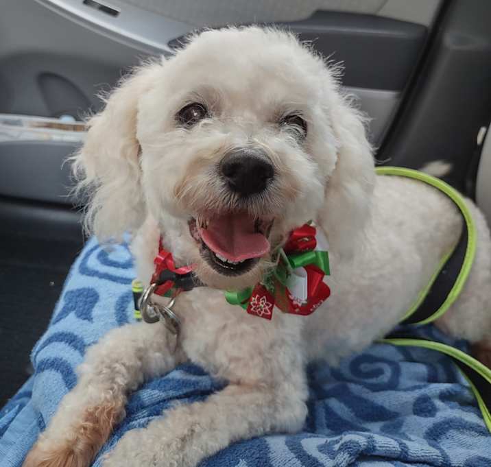 Photo of Sandy Rosie