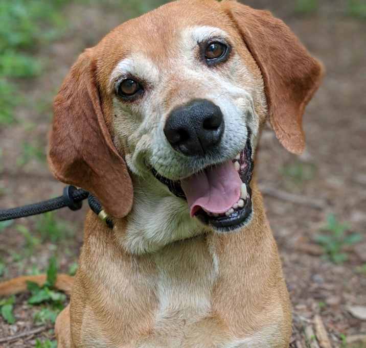 Photo of Oscar