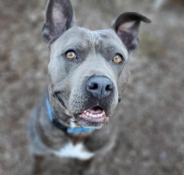 Photo of Lola