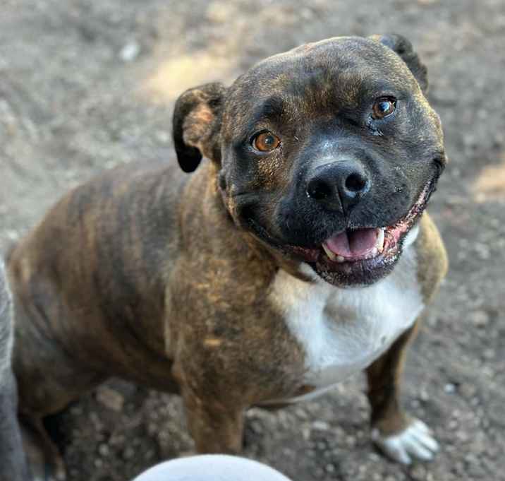 Photo of Sasha