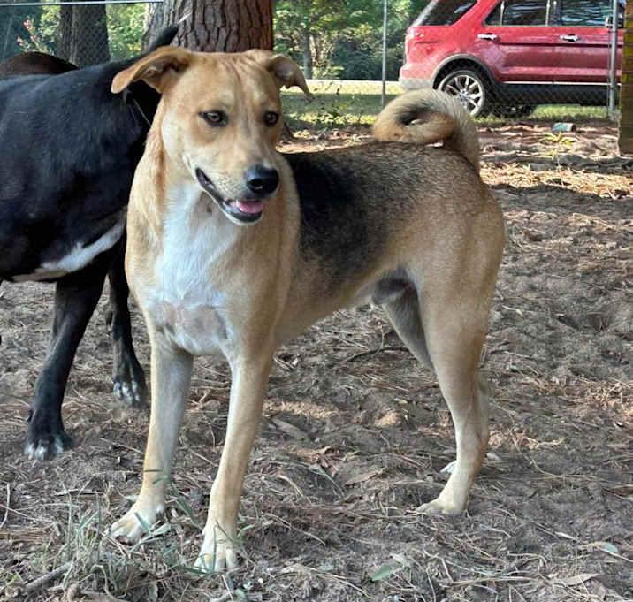 Photo of Rowdy