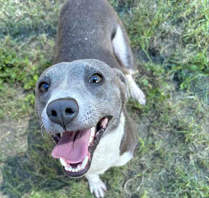 Photo of Snazzy