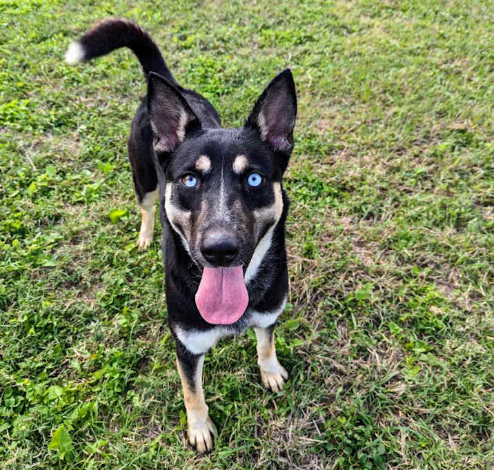 Photo of Jitterbug