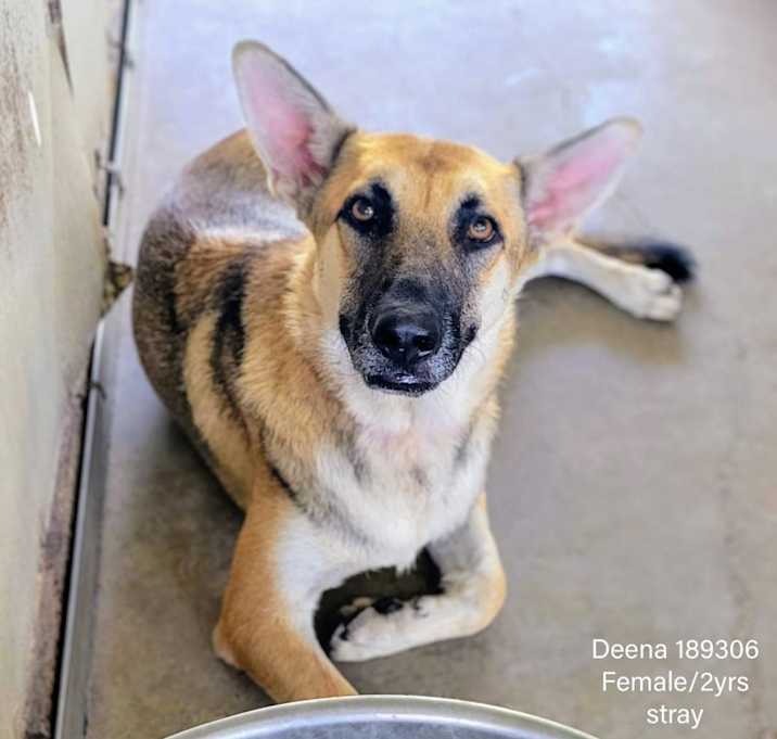 Photo of Deena