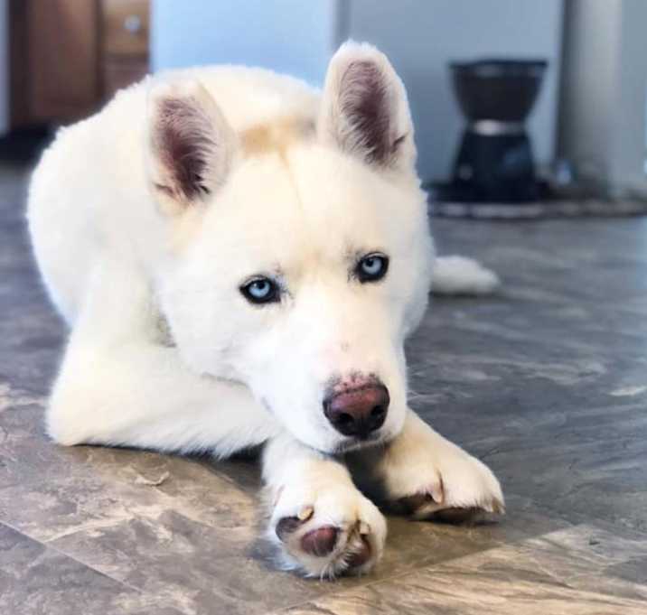 Photo of Ghost