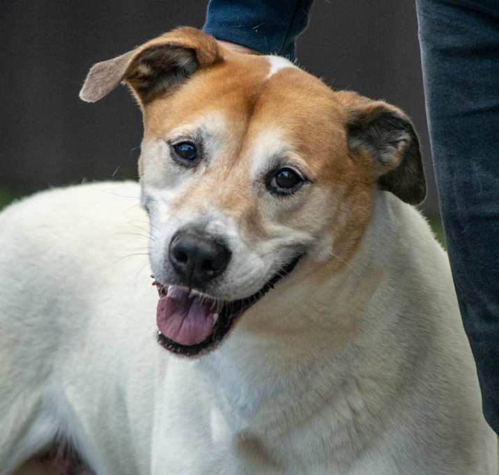 Photo of Donnie