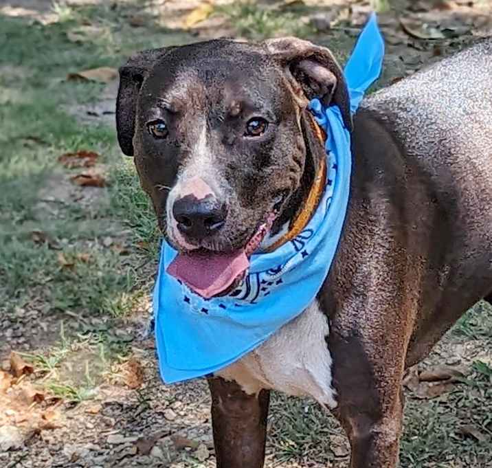 Photo of Hercules