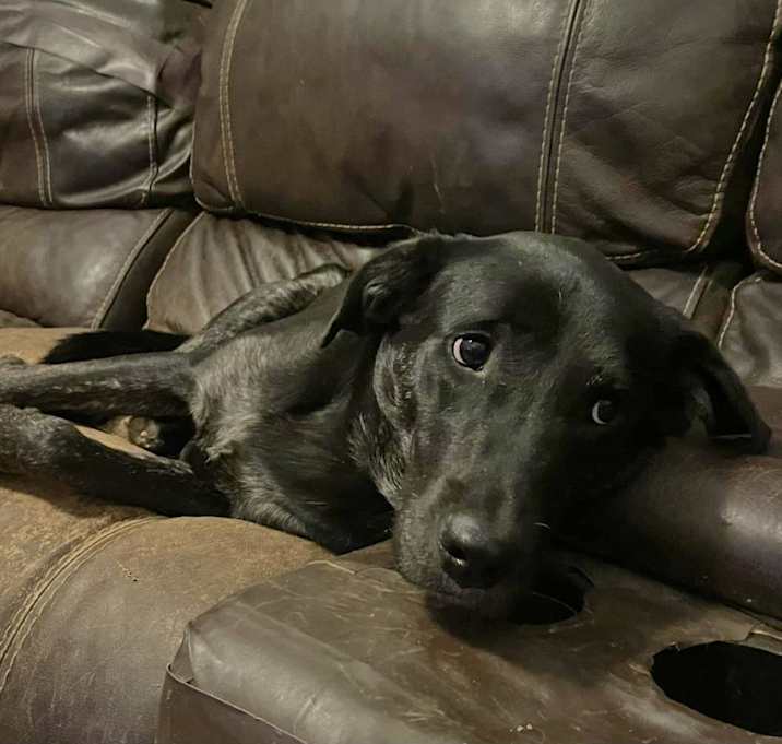 Photo of Jude