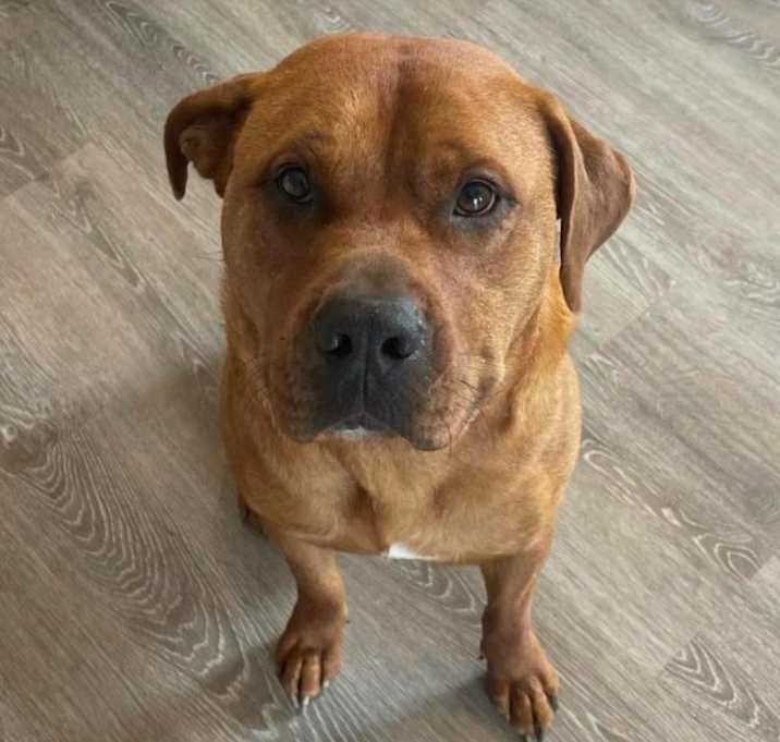 Photo of Zeus Ross