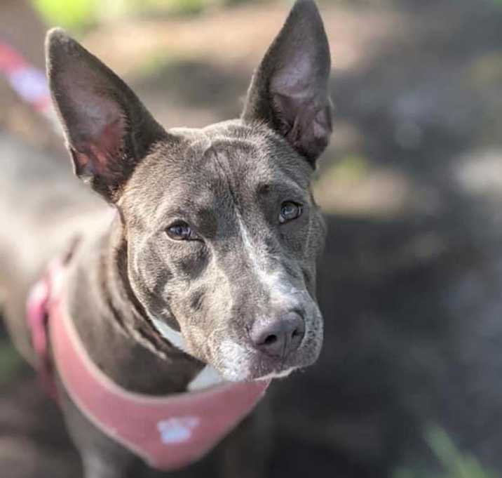 Photo of Baby Blue