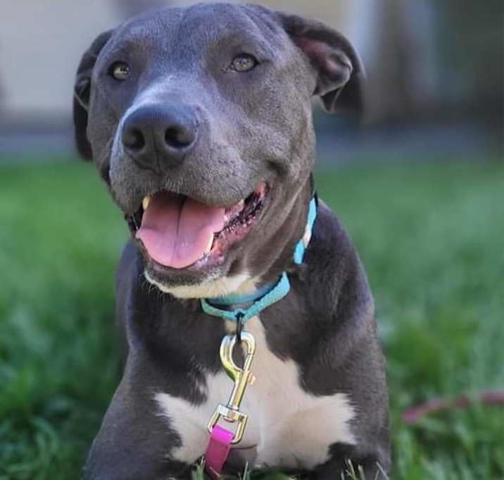 Photo of Bagel