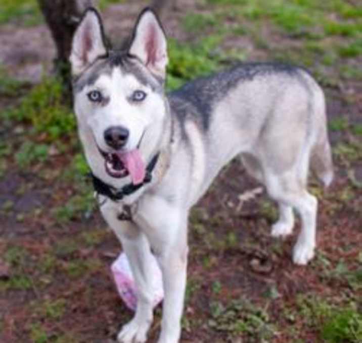 Photo of Artemis