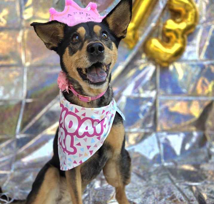 Photo of Addy