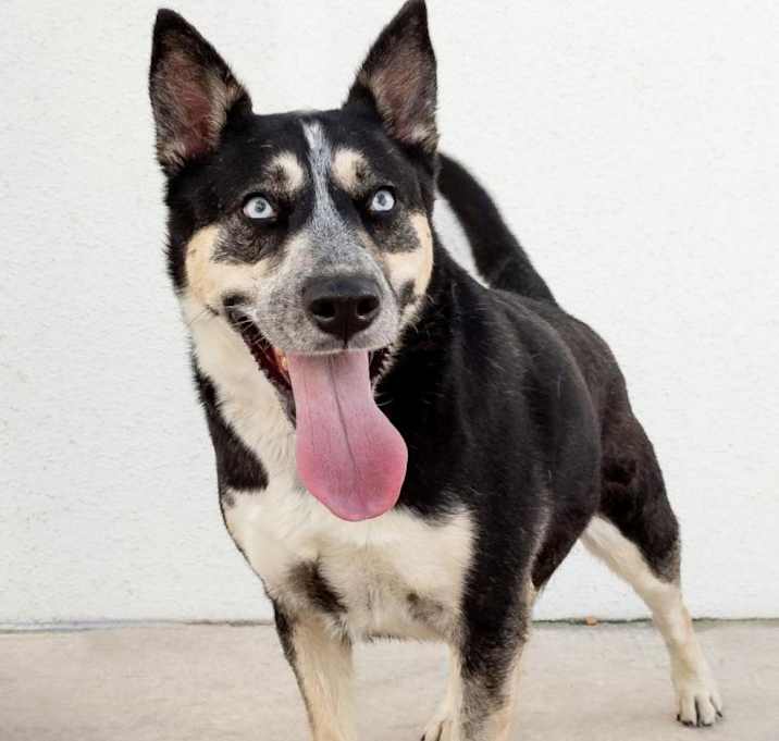 Photo of Maya