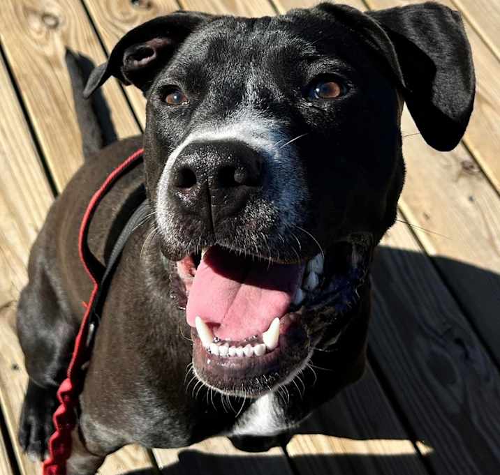 Photo of Klaus Hargreeves