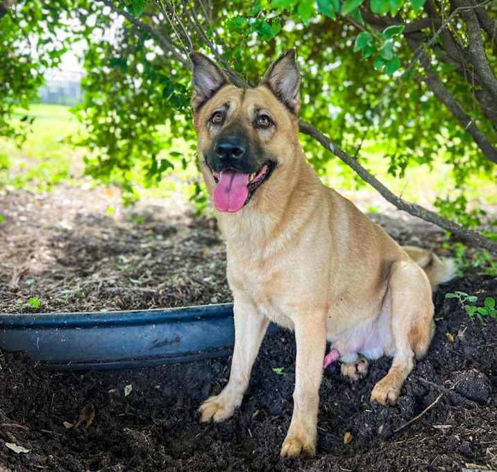 Photo of Mr Max