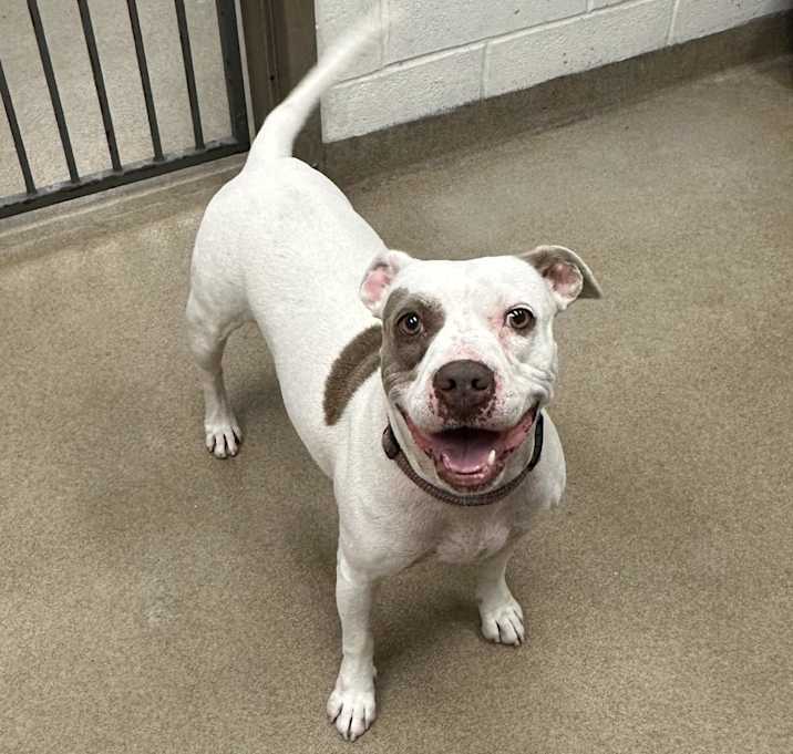 Photo of Missy