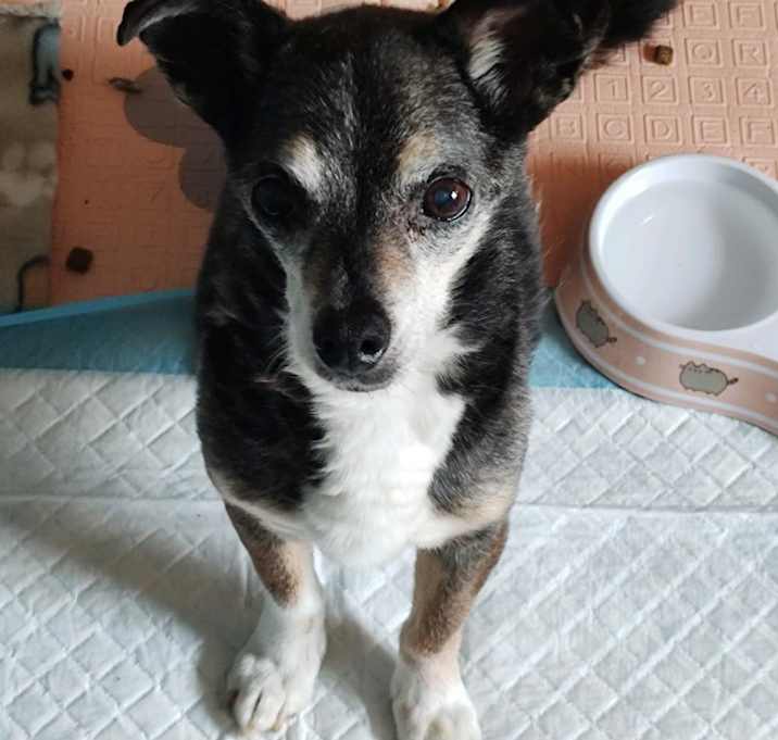 Photo of Mo