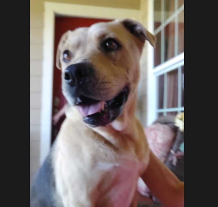 Photo of Thor