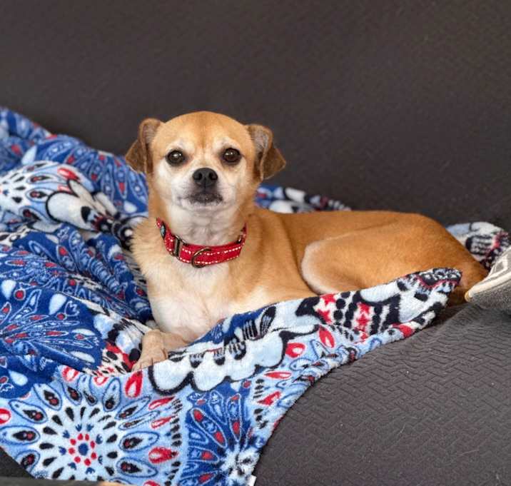 Photo of Dillinger