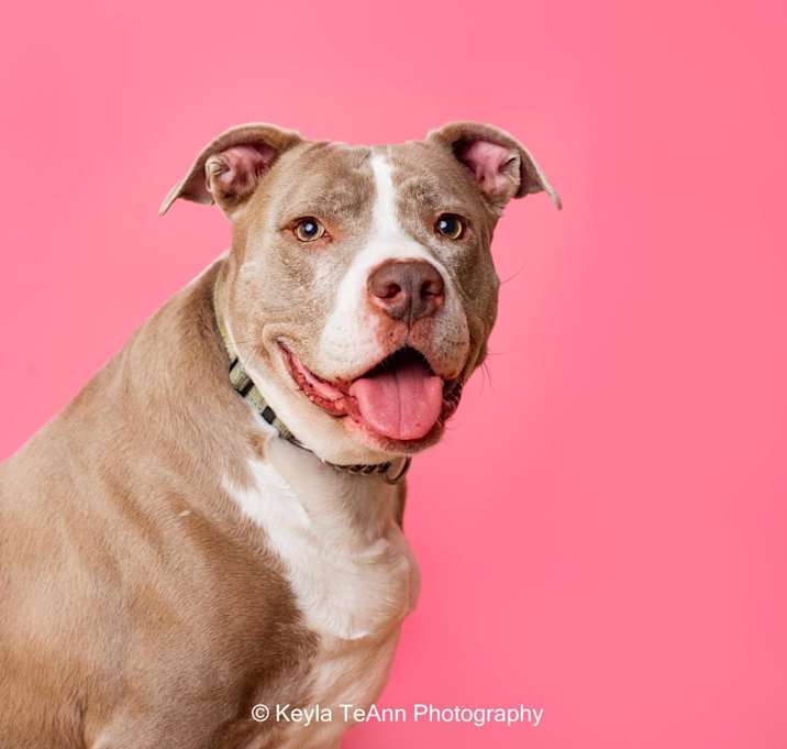 Photo of Mama Tylee