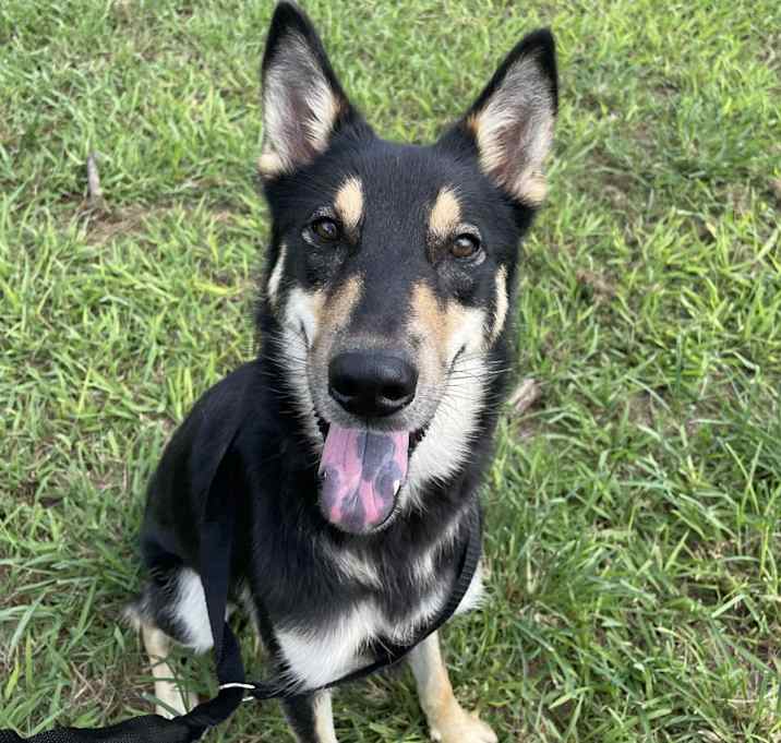 Photo of Thor