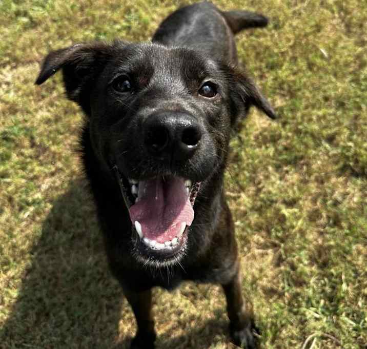 Photo of Nitro