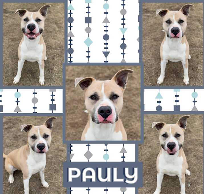 Photo of Pauly 