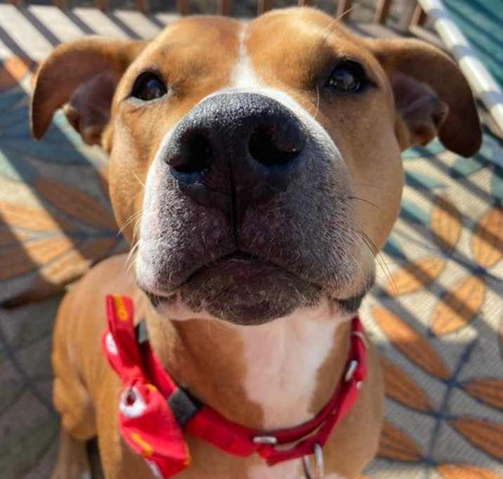 Photo of Hercules