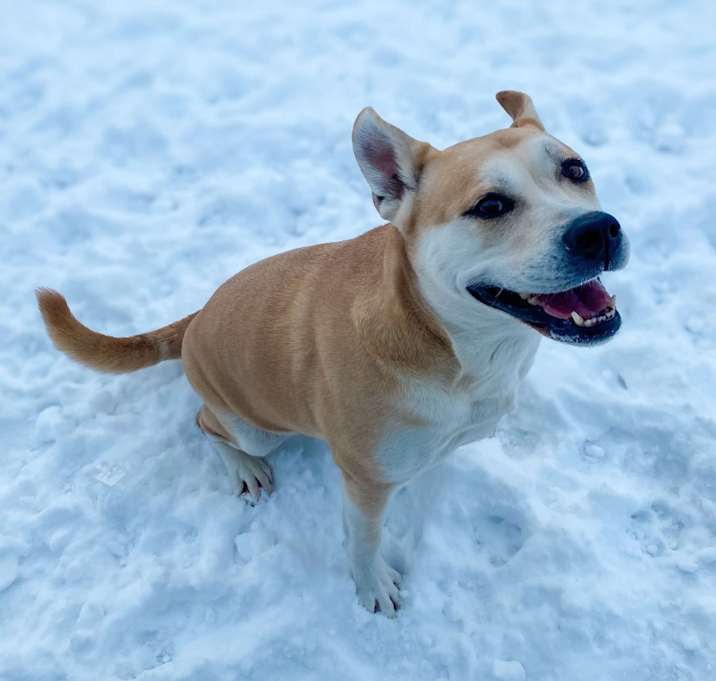 Photo of Kira