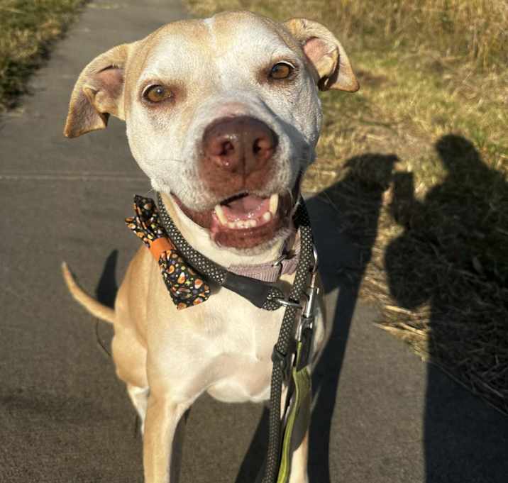 Photo of Eclipse
