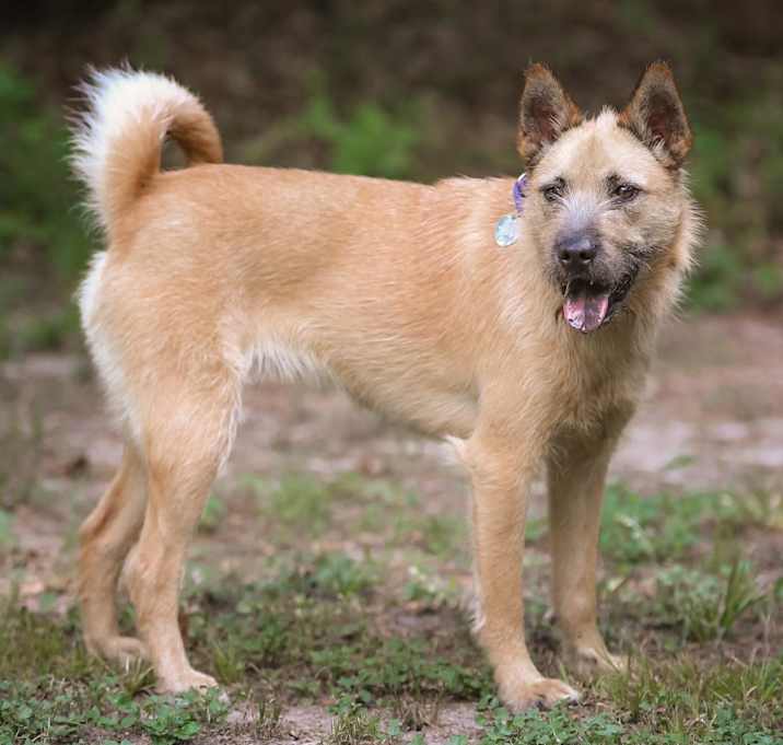 Photo of Coco