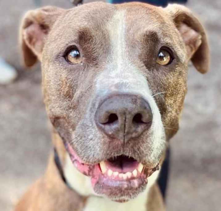 Photo of Nellie