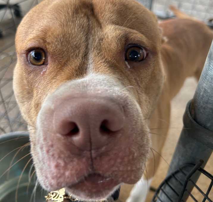 Photo of Jingle