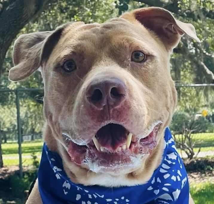 Photo of Watson