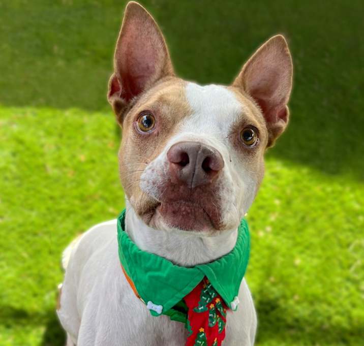 Photo of Cash