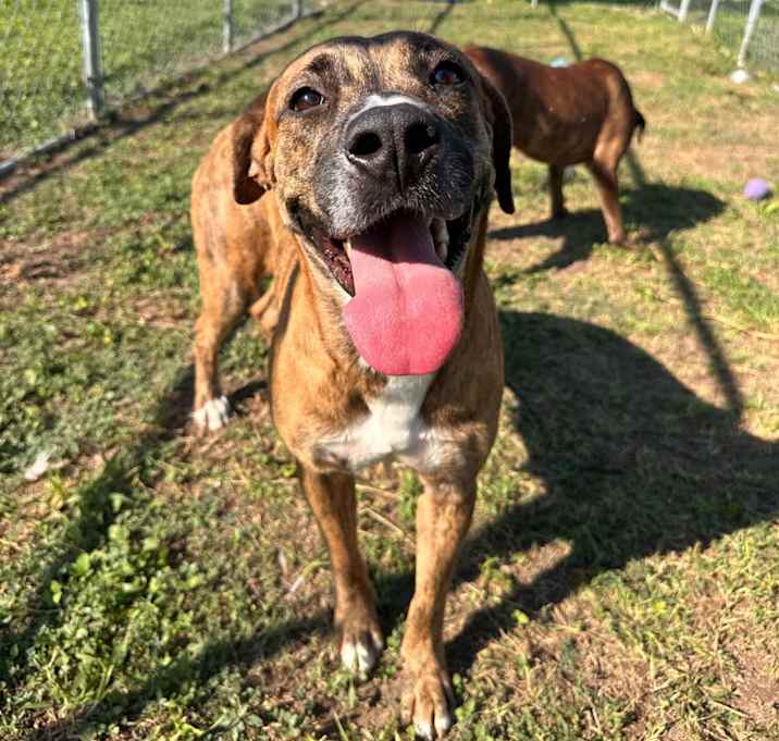 Photo of Wiggles