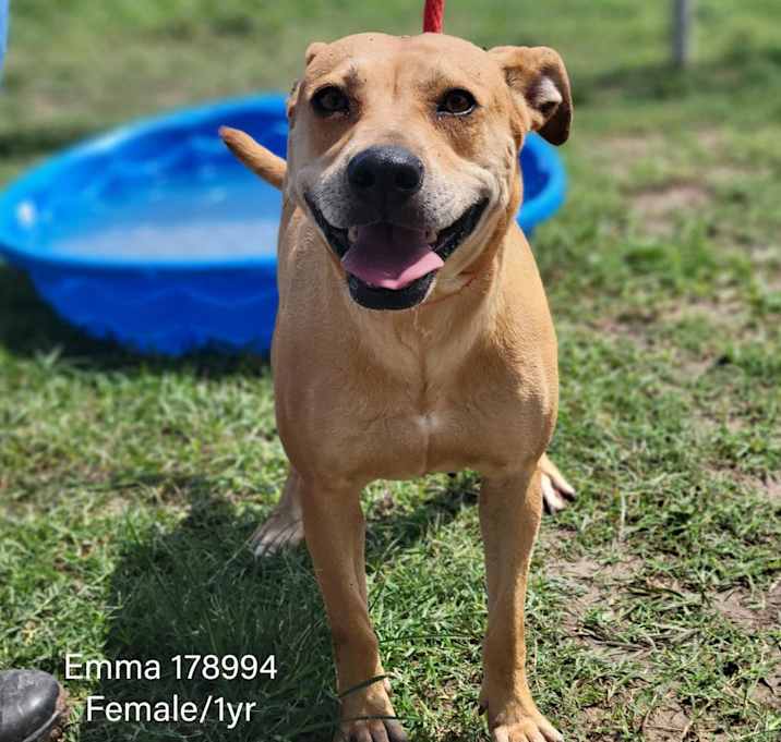 Photo of Emma